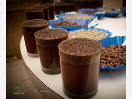 Café en Grano. Café en grano importado de Nicaragua