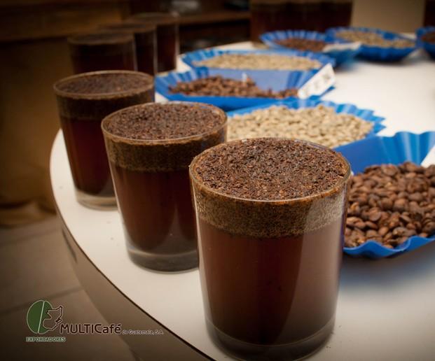 Proveedores de Café. Café en grano importado de Nicaragua