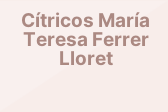 Cítricos María Teresa Ferrer Lloret