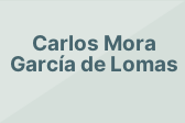 Carlos Mora García de Lomas