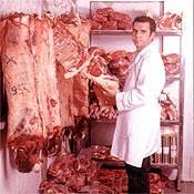 Mayorista de carne. Carne porcina, vacuna y ovina