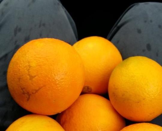 Naranjas de calidad. Jugosas y dulces