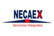Necaex