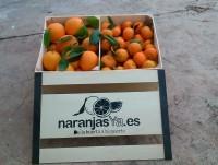 Naranjas. Naranjas de alta calidad