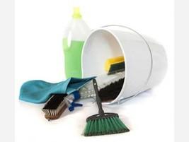 Productos de Limpieza. Productos de limpieza ecológicos