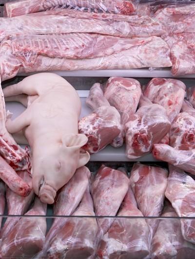 Mayorista de carne. Carne de cerdo, pollo, buey, cordero