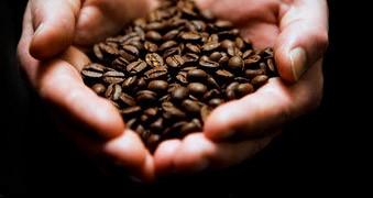 Café. Descubra nuestro delicioso café en granos