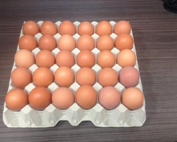 Bandeja 30 huevos. Calidad certificada