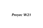 Proyec W21