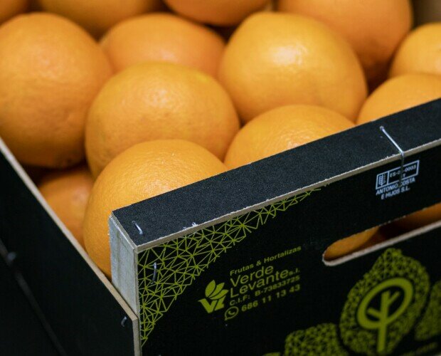 Naranja. Distribuimos nuestras naranjas en el mercado español y otros países de Europa
