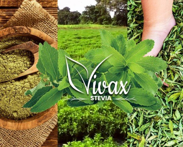 Stevia Ecológica.Vivax Stevia Sugar nace para satisfacer a la actual generación