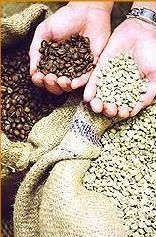 Café. Tostado de café en grano proveniente de arabia