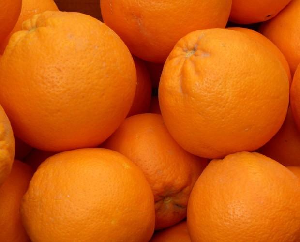 naranjas_de_mesa. Naranjas exclusivas
