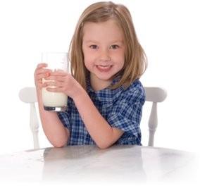 Productos Lácteos. Postres lácteos, nata y mantequilla