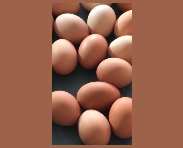 Huevos. Frescos y de calidad