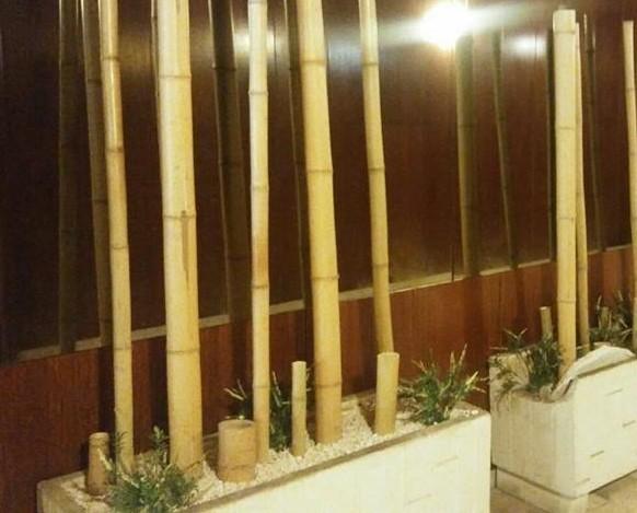 Decoración con bambú. Proyectos a medida