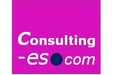 Consulting-es.com