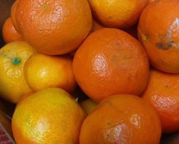 Mandarinas. Ricas mandarinas