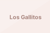 Los Gallitos