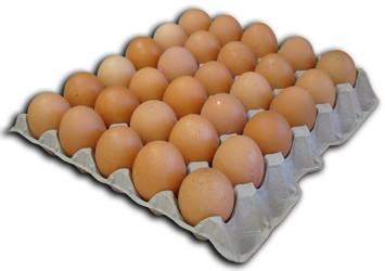 Huevos a granel. En tamaño XL