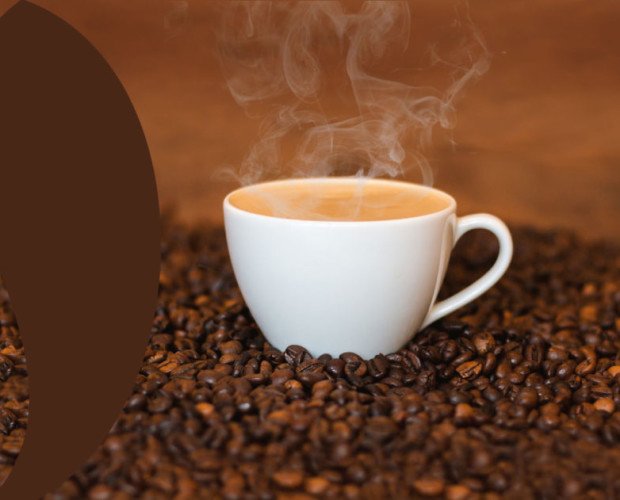 Café premium. La excelencia del café natural 100%, en su máxima expresión.