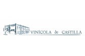 Vinícola De Castilla