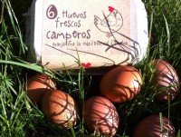 Huevos Camperos. Ofrecemos Huevos Frescos de Gallinas Camperas criadas en libertad