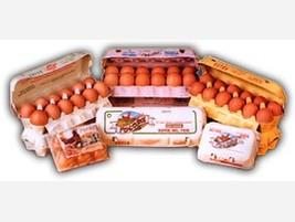 Huevos. Huevos frescos de gallina y ovoproductos