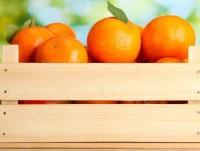 Naranjas. Nos dedicamos a la venta y distribución de naranjas 