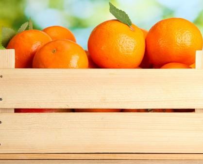 Naranjas. Nos dedicamos a la venta y distribución de naranjas