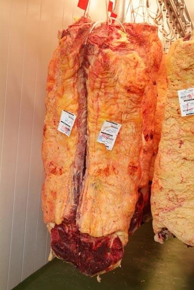 Carne de buey gallega. Fuente de potasio, el fósforo el magnesio