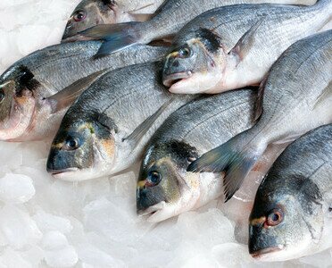 Pescados. Variado surtido de pescado congelado