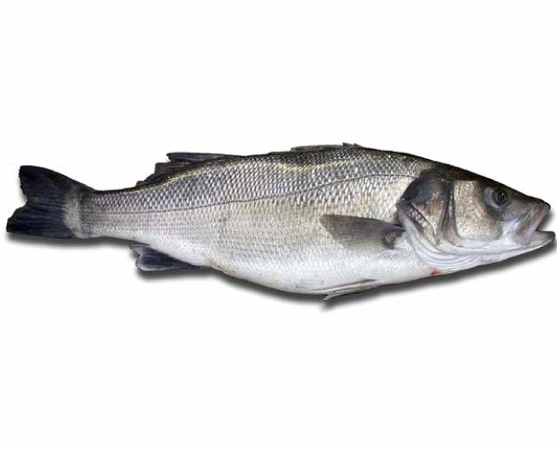 Lubina. También conocido como róbalo, pescado blanco o semigraso según la época del año
