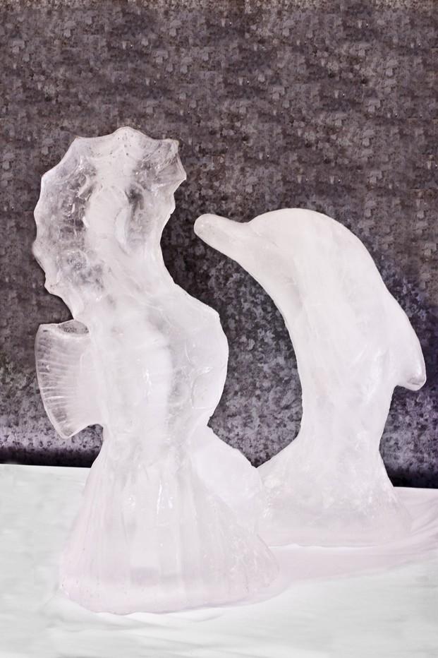 Esculturas de hielo. Varios modelos, ideal para eventos