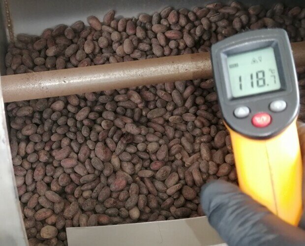 Tostado del cacao. Los cotiledones de cacao (nibs o grano) deben ser tostados