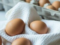 Huevos Frescos de Gallina. Los mejores huevos de gallina los encuentras aquí