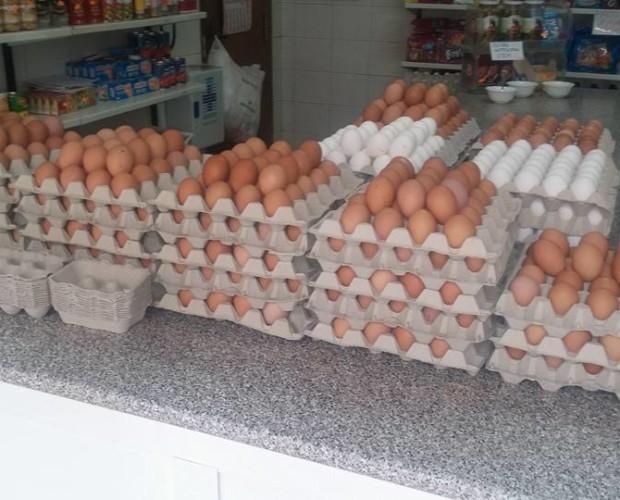 Huevos frescos de gallina. Huevos frescos directos de la granja