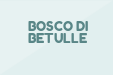 BOSCO DI BETULLE