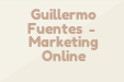 Guillermo Fuentes - Marketing Online