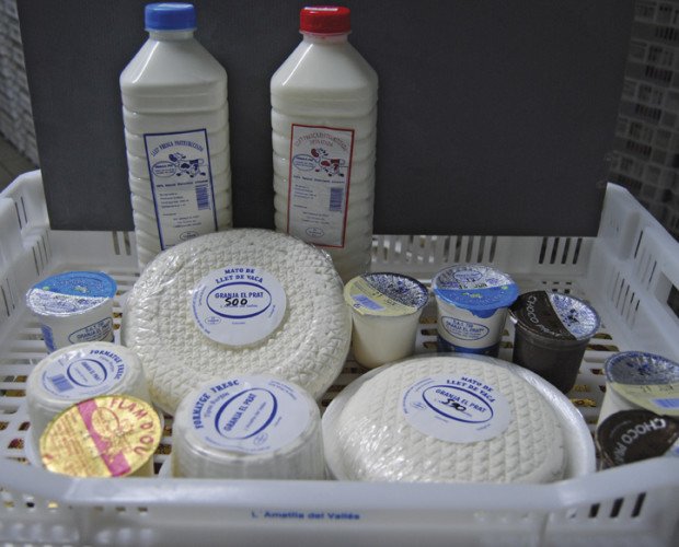 Productos lácteos. Leche, queso y yogur