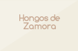 Hongos de Zamora